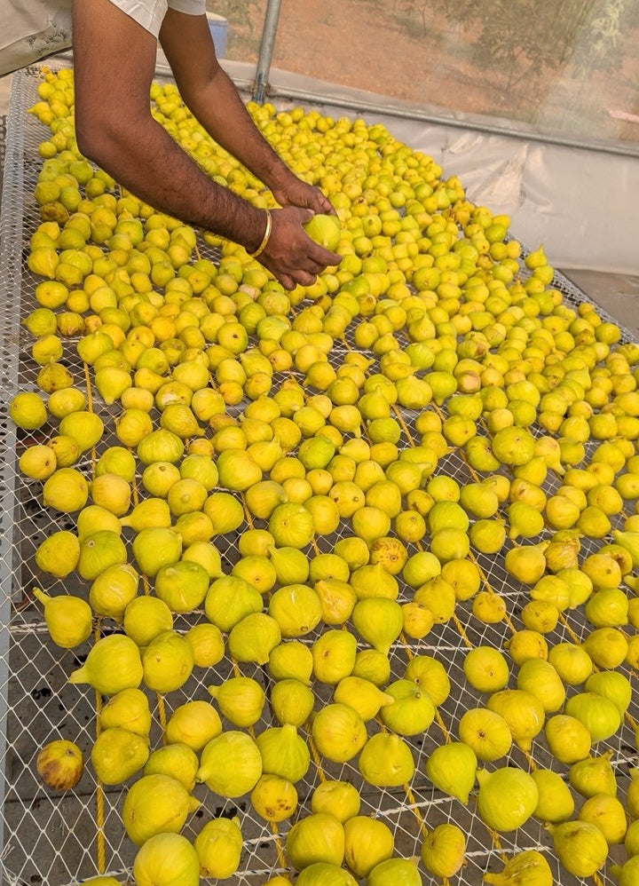 Our Farm